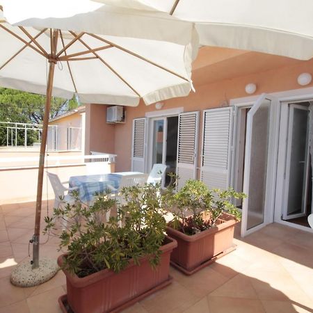 Studios & Rooms Fiesta Novalja Εξωτερικό φωτογραφία